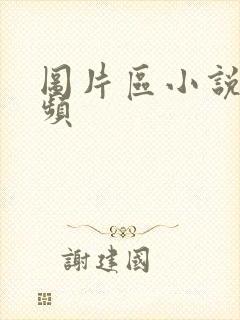 图片区小说区视频