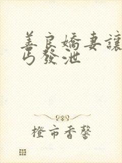 善良娇妻让老乞丐发泄