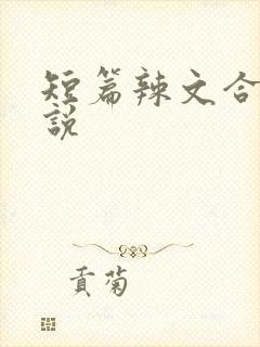 短篇辣文合集小说