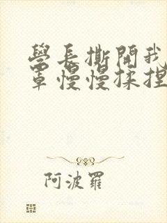 学长撕开我的乳罩慢慢揉捏小说