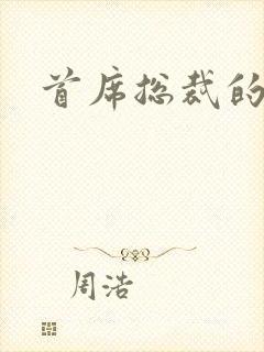 首席总裁的逃妻