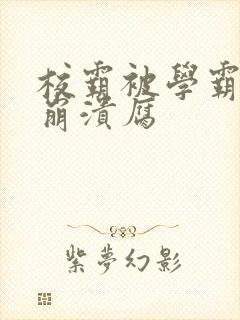 校霸被学霸玩到崩溃腐