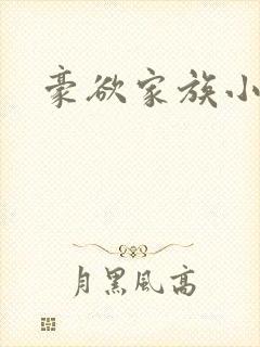 豪欲家族小说