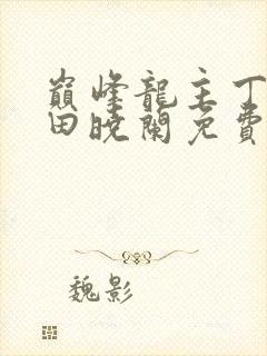 巅峰龙主丁长顺田晓兰免费阅读