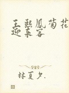 王熙凤菊花门初迎来客