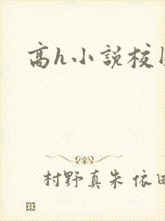 高h小说校园