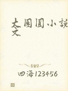 大团圆小说集全文