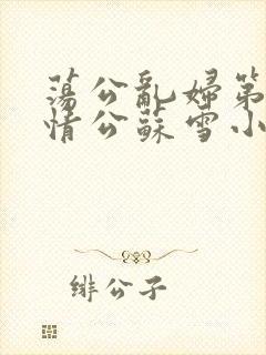 荡公乱妇第1章情公苏雪小说