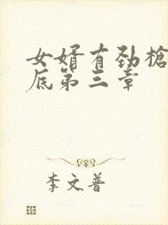 女婿有劲枪枪到底第三章