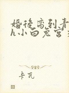 婚后脔到青梅哭h小白兔宫交h