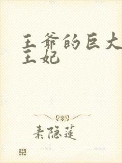 王爷的巨大进入王妃