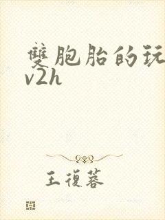 双胞胎的玩具1v2h