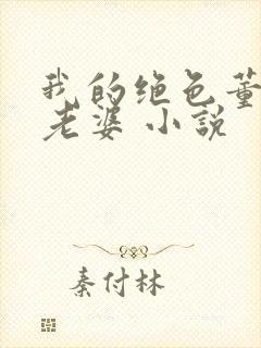 我的绝色董事长老婆 小说