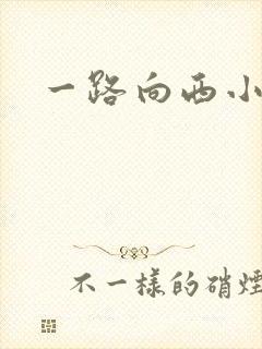 一路向西小说