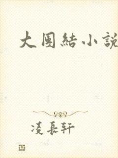 大团结小说阅读