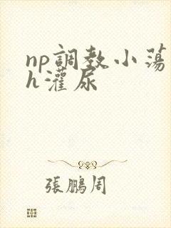 np调教小荡货h灌尿