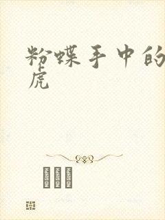 粉蝶手中的纸老虎