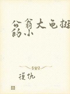 公翁大龟挺进我的小