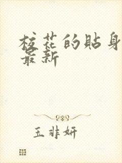 校花的贴身高手最新