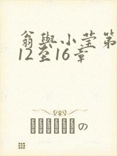 翁与小莹第十部12至16章