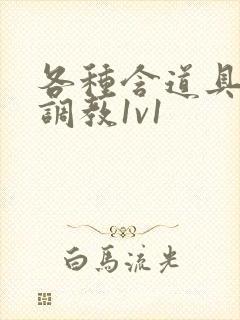 各种含道具高h调教1v1