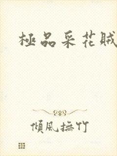 极品采花贼