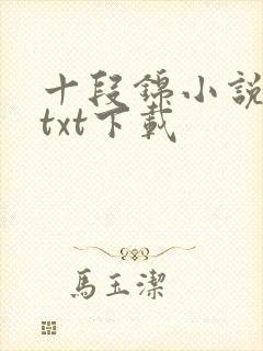 十段锦小说全本txt下载