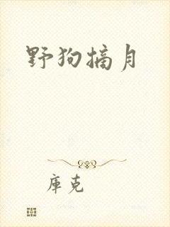野狗摘月