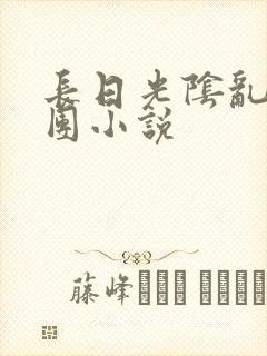 长日光阴乱作一团小说