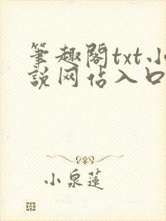 笔趣阁txt小说网站入口