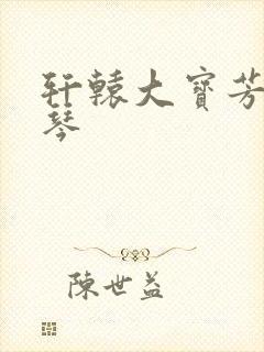 轩辕大宝芳菲雅琴