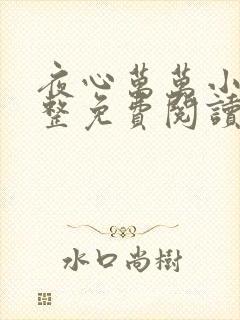 夜心万万小说完整免费阅读全文