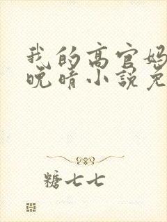 我的高官妈妈苏晚晴小说免费阅读