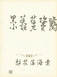 黑莲花攻略手册小说免费阅读全文