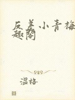 反差小青梅 笔趣阁