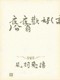 夜夜欢好(高h)公翁