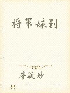 将军嫁到