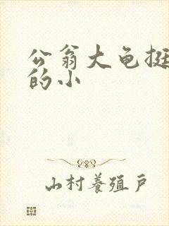 公翁大龟挺进我的小