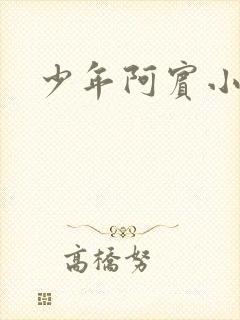 少年阿宾小说