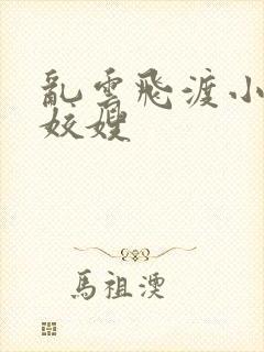 乱云飞渡小说之姣嫂