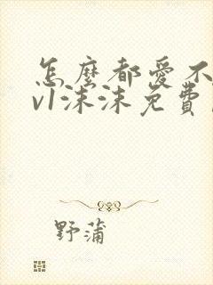 怎么都爱不够1v1沫沫免费阅读