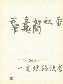 我妻如奴番外篇笔趣阁