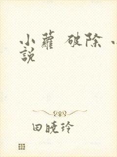 小萝 破除 小说