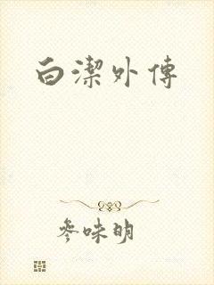 白洁外传