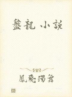 盘龙 小说