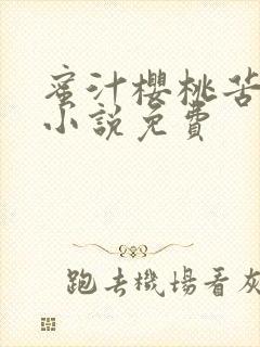 蜜汁樱桃苦咖啡小说免费