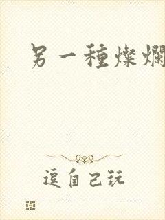 另一种灿烂生活