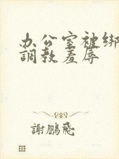 办公室被绑奶头调教羞辱