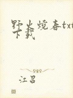 野火烧春txt下载