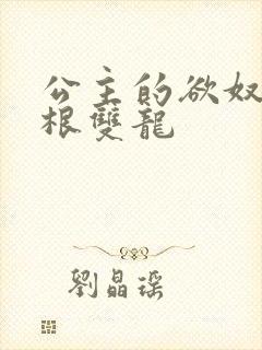 公主的欲奴h四根双龙